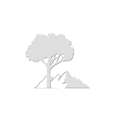 Nature Square, par Xavier E. G. Dierick